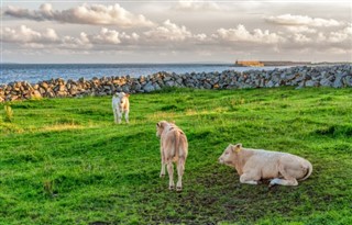 Irland vejrudsigt