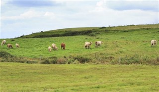 Irland vejrudsigt