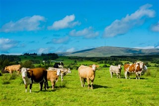 Irlande prévisions météorologiques