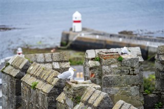 Isle of Man Hava tahmini