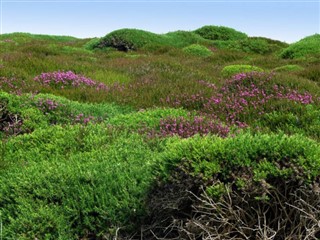 Isle of Man vejrudsigt