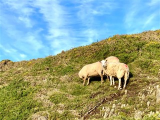 Isle of Man hava tahmini