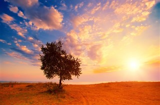 Israel weather forecast