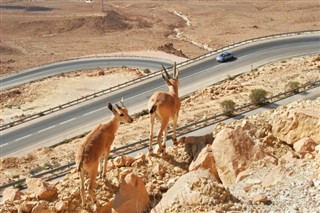 Israel vejrudsigt