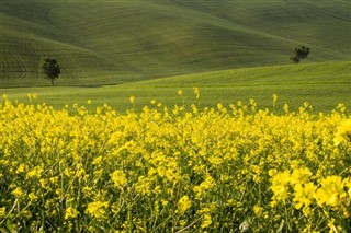 İtalya hava tahmini