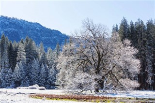 Jamaika hava tahmini