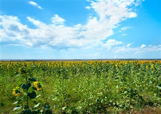 Jamaica időjárás-jelentés