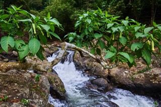 Jamaica předpověď počasí