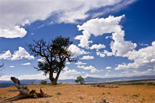 Jamaica weather forecast