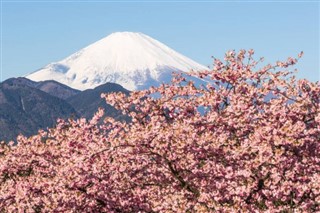 日本 天気予報