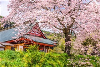 Japonya hava tahmini