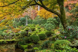 Japonia Prognoza pogody