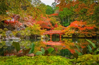 Japán időjárás-jelentés