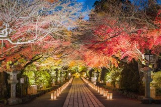 Japon prévisions météorologiques