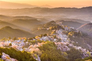 Japan vejrudsigt