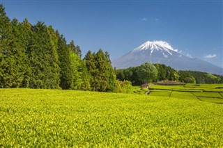 Japan vejrudsigt