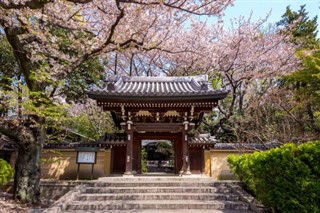 Japán időjárás-jelentés