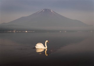 Japan vejrudsigt