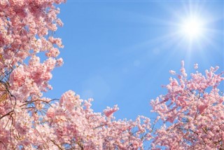 Japonya Hava tahmini