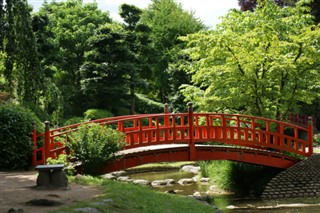 Japán időjárás-jelentés