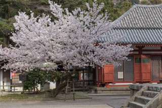 Japan vejrudsigt