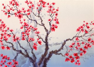 Japonya hava tahmini
