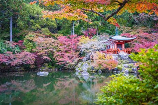 Japon prévisions météorologiques