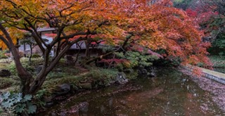 Japán Időjárás-jelentés