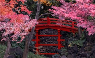 Japonya hava tahmini