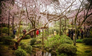 Japonya hava tahmini