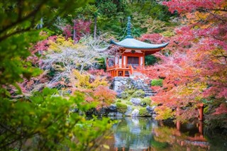 Japán időjárás-jelentés