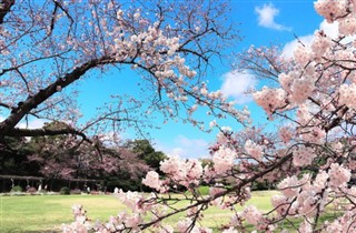 Japon prévisions météorologiques