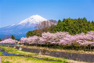 Japon prévisions météorologiques