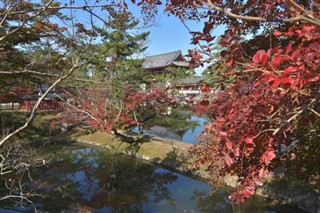 Japan vejrudsigt
