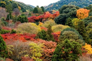 Japonya hava tahmini