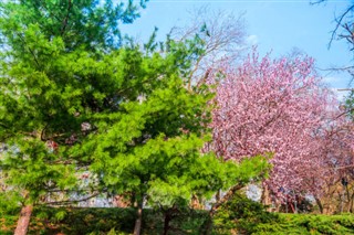 Japonya hava tahmini