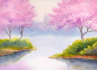 Japán időjárás-jelentés