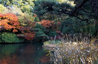 Japonya hava tahmini