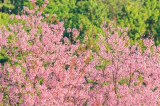 Japan předpověď počasí