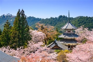 Japon prévisions météorologiques