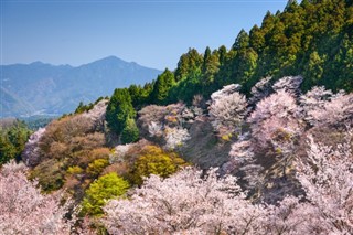 Japán időjárás-jelentés