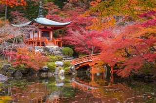Japán időjárás-jelentés