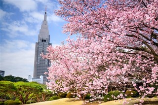 Japan vejrudsigt