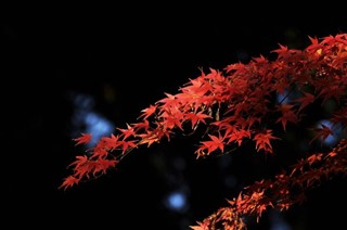 Japan vremenska prognoza