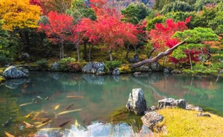 Japán időjárás-jelentés