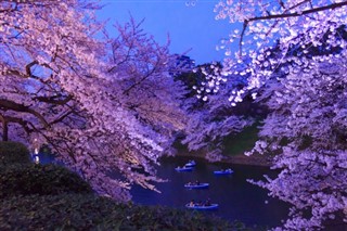 Japán időjárás-jelentés