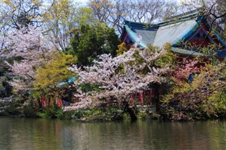 Japon prévisions météorologiques