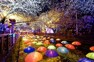 Japan vejrudsigt