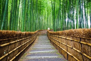Japán időjárás-jelentés