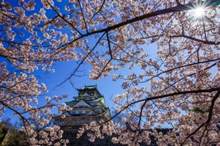 Japonya hava tahmini